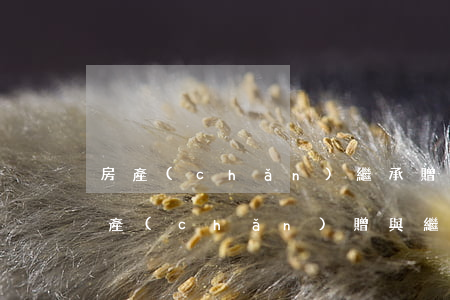 房產(chǎn)繼承贈與過戶費怎么算(房產(chǎn)贈與,繼承,轉(zhuǎn)讓、買賣怎么付稅費)